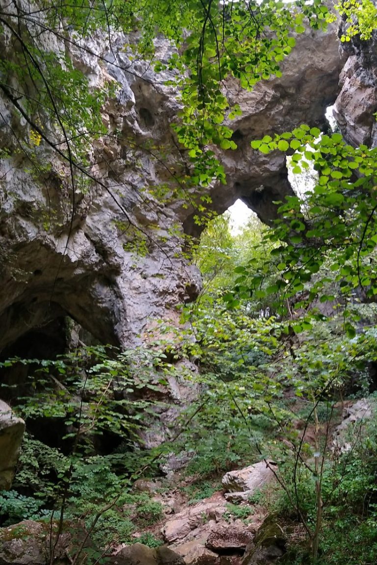 пећински систем Језава и пећина Самар 120505384 1502487506604145 5894100806371625581 n