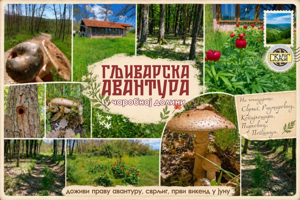 gljivarska avantura razglednica